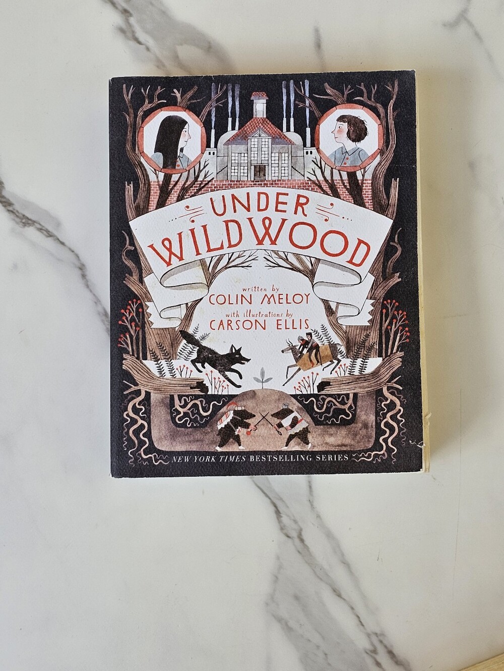 Under Wildwood Softcover Book 2nd in the Trilogy